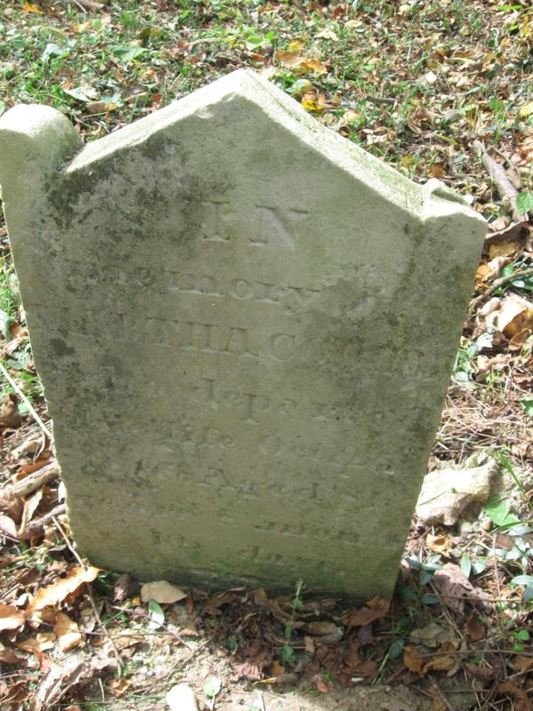 Cooley_-_Brewer_Cemetery_Oct._2011_006.jpg