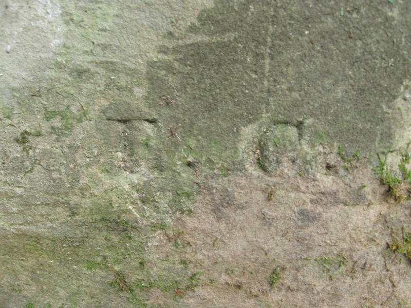 Cooley_-_Brewer_Cemetery_Oct._2011_020.jpg